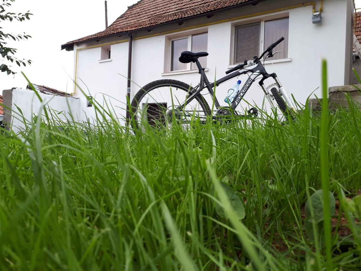 Дома для отпуска Casa Schei Брашов-24