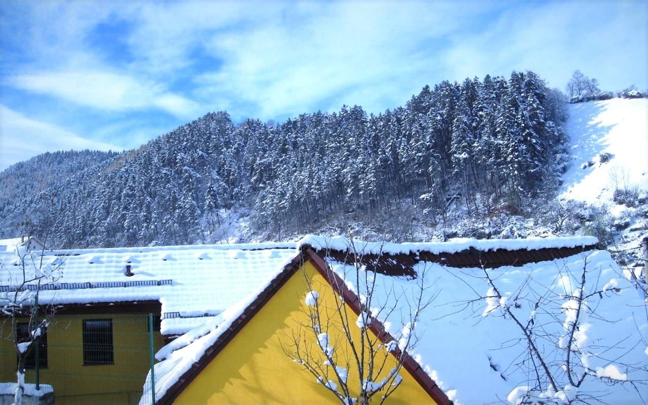 Дома для отпуска Casa Schei Брашов-30