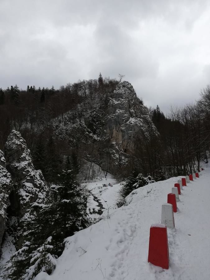 Дома для отпуска Casa Schei Брашов-34