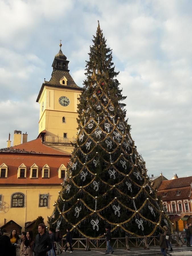 Дома для отпуска Casa Schei Брашов-37