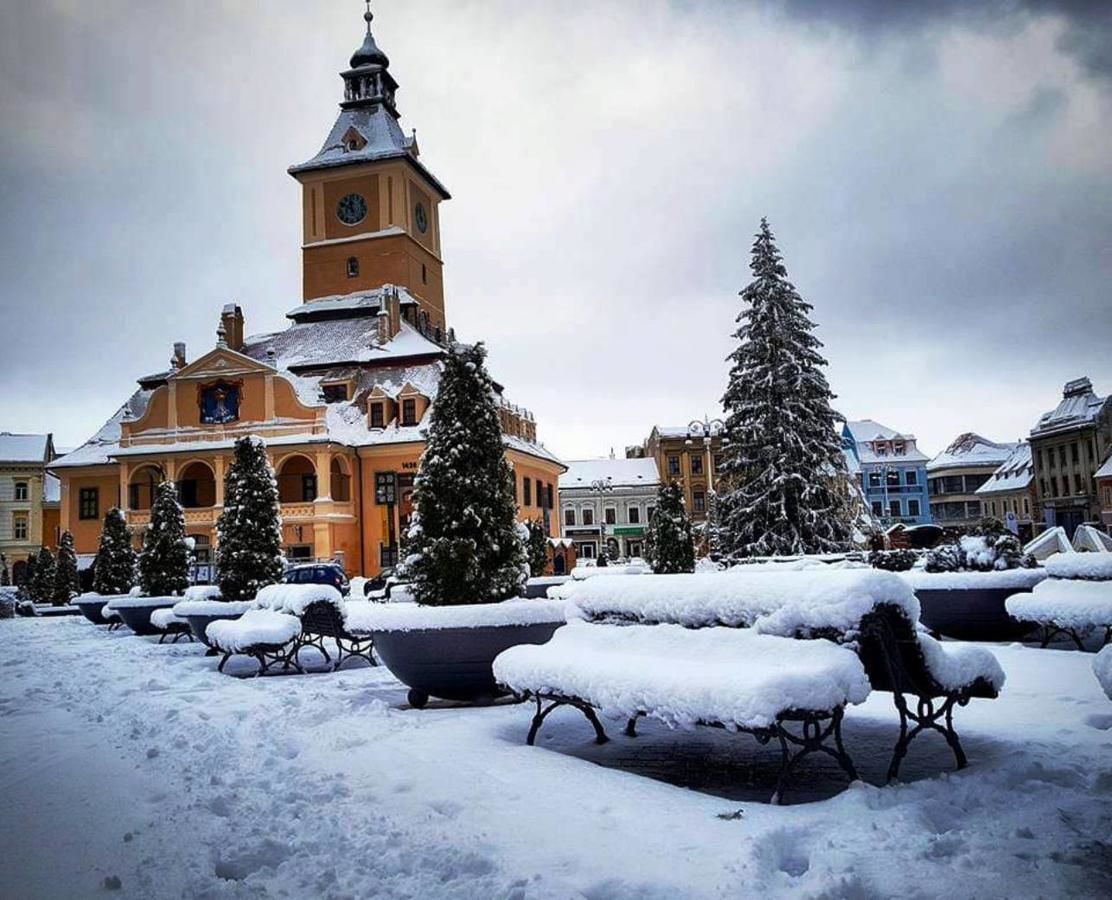 Дома для отпуска Casa Schei Брашов-38