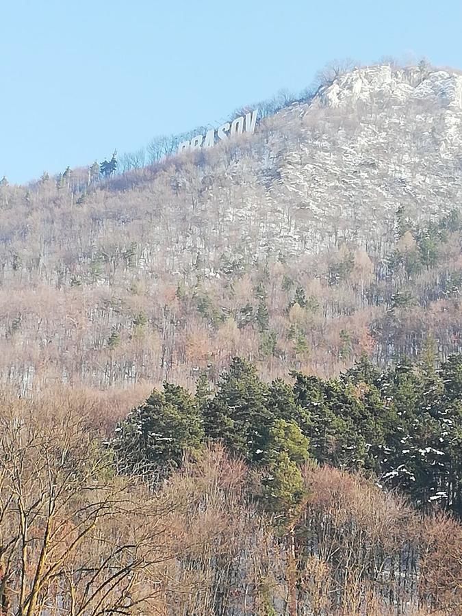 Дома для отпуска Casa Schei Брашов-47