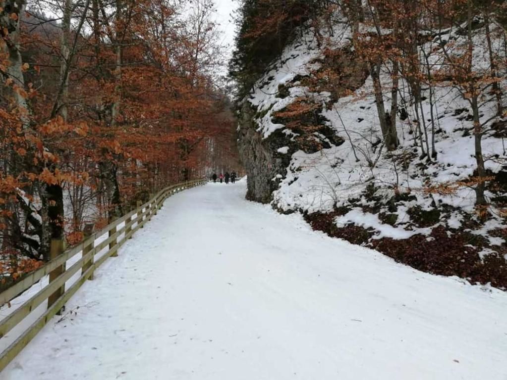 Дома для отпуска Casa Schei Брашов-75