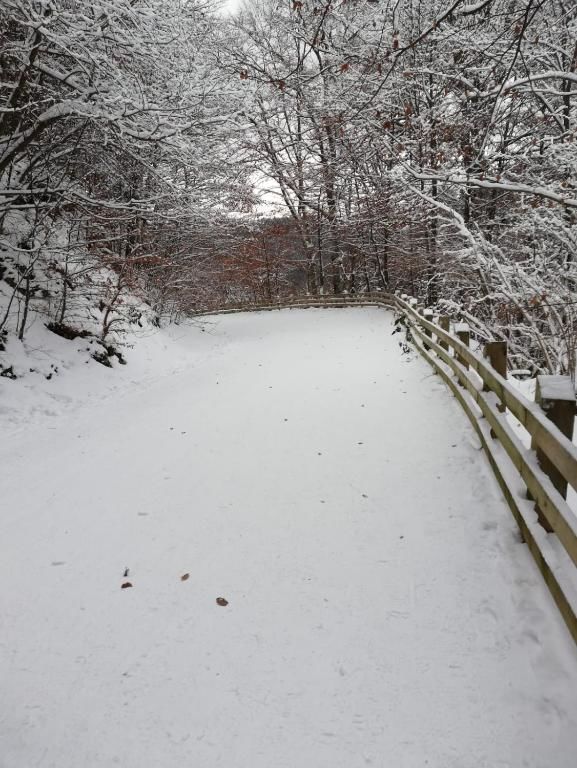 Дома для отпуска Casa Schei Брашов-76