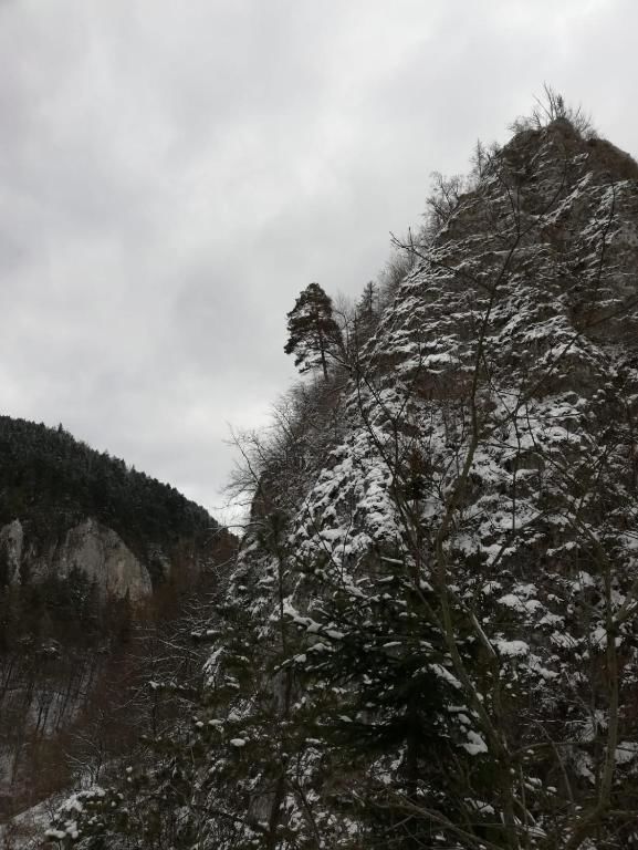 Дома для отпуска Casa Schei Брашов-78