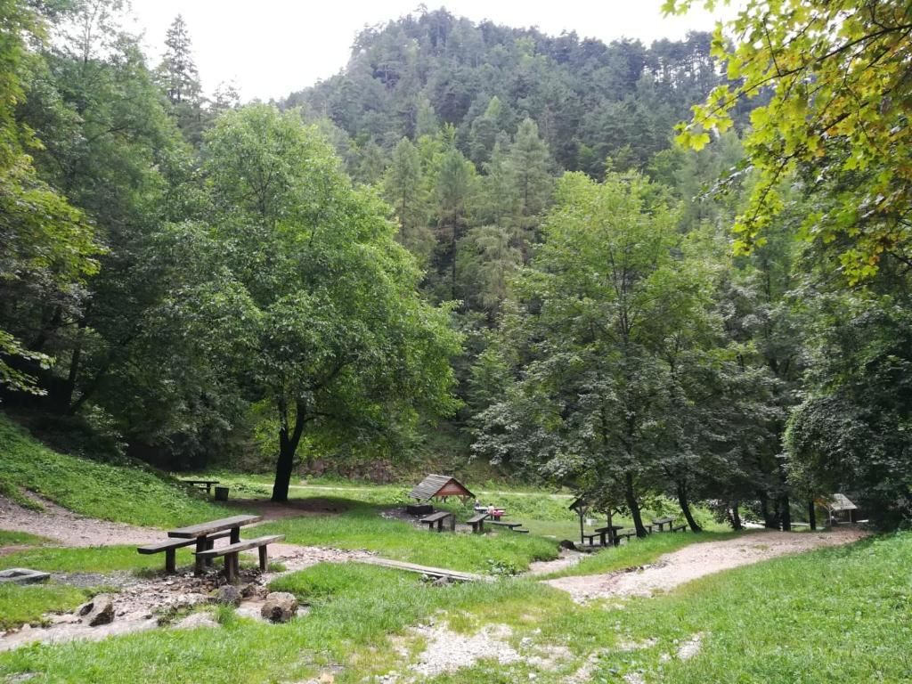 Дома для отпуска Casa Schei Брашов-85