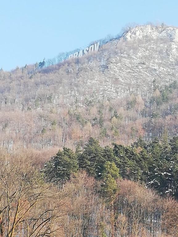 Дома для отпуска Casa Schei Брашов-99