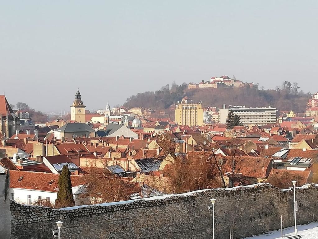 Дома для отпуска Casa Schei Брашов-100